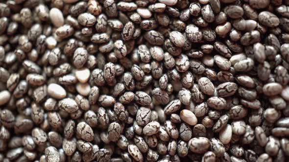 Rotation Macro Chia Seeds alt