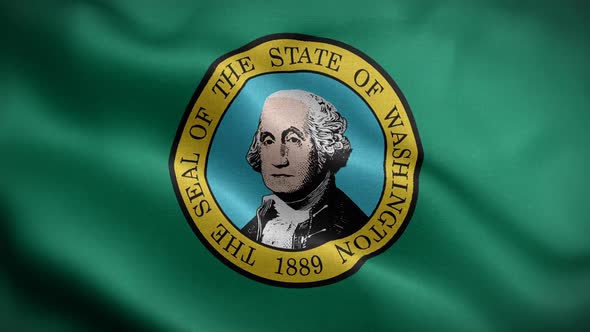 Washington State Flag Blowing In Wind alt
