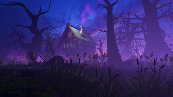 House Witch In The Swamp, Motion Graphics | VideoHive