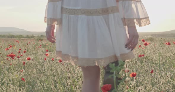 Rear View of a Young Woman in a White Dress Walking Through a Wild Field with Blooming Poppies in alt