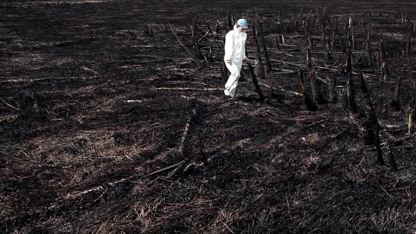 Earth after a fire alt