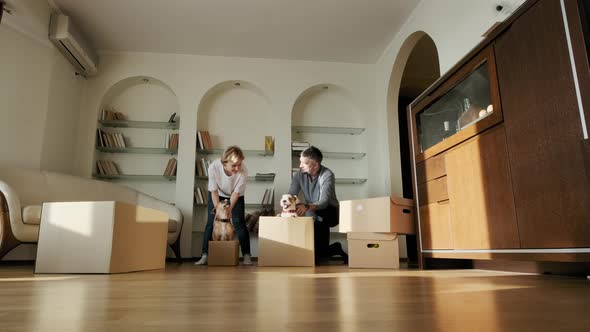 Happy Young Parents and Daughters Run Push Cardboard Boxes with Dog Pets Dog Jack Russel Ride Inside alt