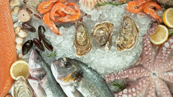 Super Slow Motion Shot of Falling Fresh Oysters Into Crushed Ice at 1000 Fps alt