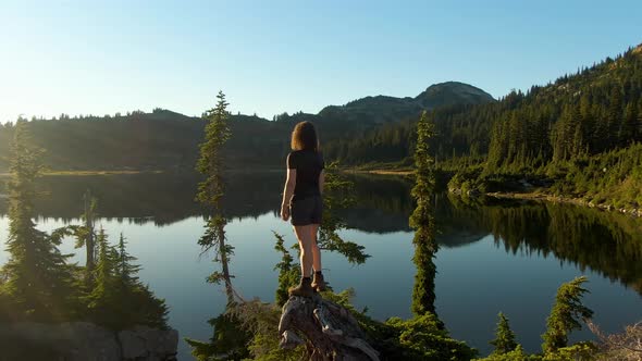 Girl Standing on Tree Stump Looking Out Over Scenic Lake alt