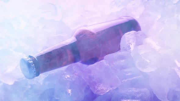 Chilled Beer In Icy Vapor At Party alt