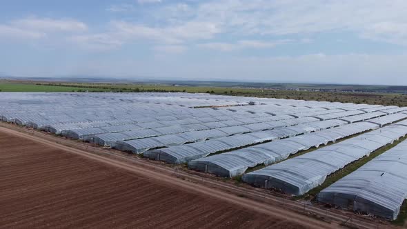 Flying Over Transparent Greenhouses