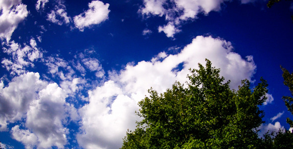 Clouds And Tree alt