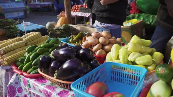 Selling Vegetables in the Market alt