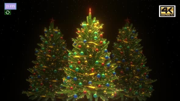 Christmas Tree Animation A4 4K