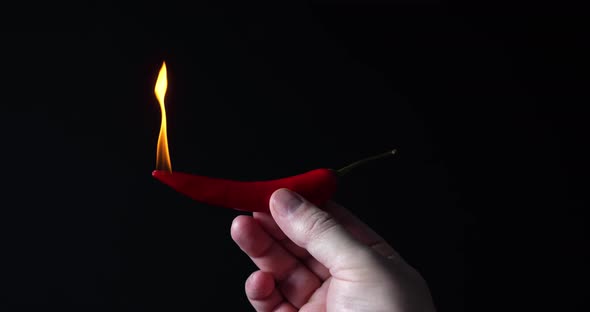 Hot red chilli pepper symbolically burns on black background