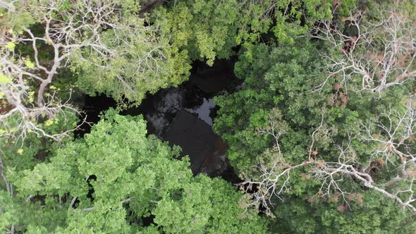 great closing aerial of one of many famous cenote locations in Riviera Maya, México.  The Mexican ju alt
