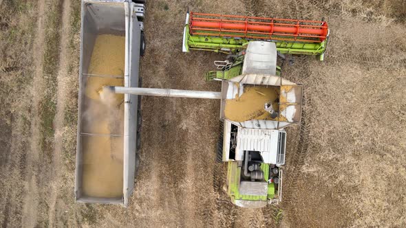 Aerial View of Combine Harvester Unloading Grain in Cargo Trailer Working During Harvesting Season alt
