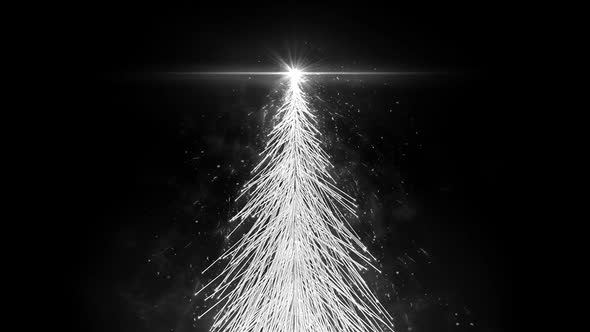 Animated White Christmas Fir Tree Star isolated seamless loop in HD resolution.