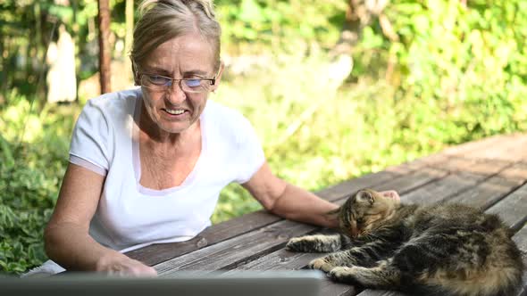 Happy senior old woman with home cat working online with laptop computer outdoor in summer garden