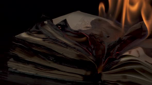 The Book is on Fire alt