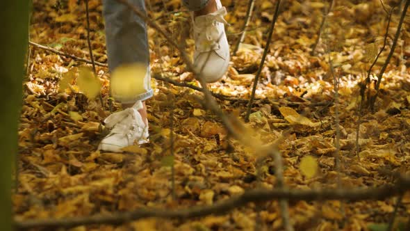 Women's Legs in Blue Jeans and White Sneakers Step on the Yellow Fallen Leaves