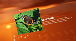 After Effects Intros