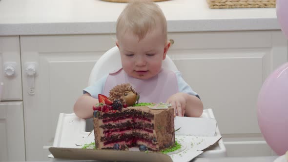 One Year Old Baby Boy Celebrating His First Birthday Cute Small Child Sitting in Front of Sweet alt