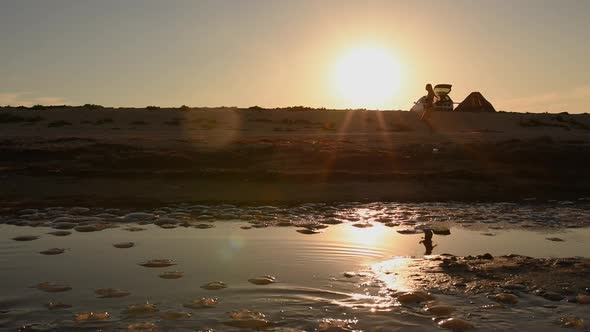 Woman in Bikini Swimsuit with Long Hair Runs Along the Seashore Against Setting Sun alt