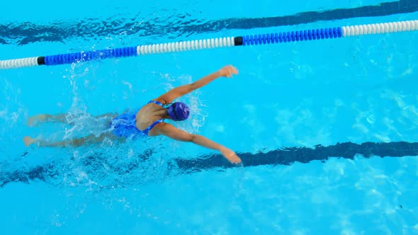 High angle view of young female swimmer swimming inside pool 4k alt