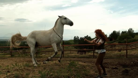 A Young Woman Playing with a Horse. The Horse Jumps in Different Directions