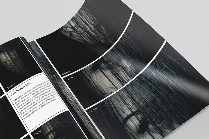 Resumes & Portfolios