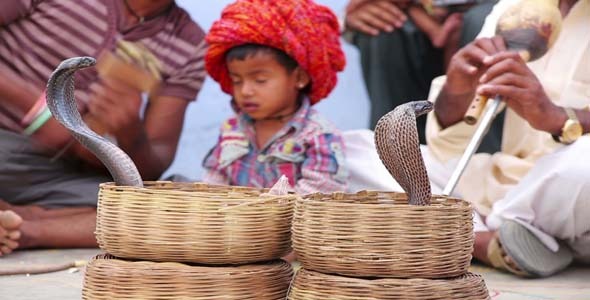 Boy Watching Cobra Enchanter Sitting At Street alt