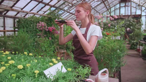 The Girl Works in the Greenhouse and Takes Pictures of Plants and Flowers for Buyers