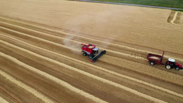 Wheat Fields