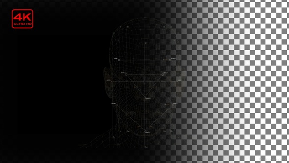 Face Identification Patterns 4K Alpha 4in1