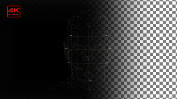 Face Identification Patterns 4K Alpha 4in1 alt