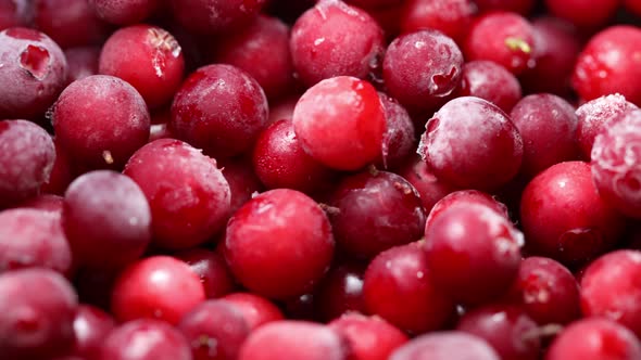 Red Frozen Lingonberry Closeup on a Rotating Stand