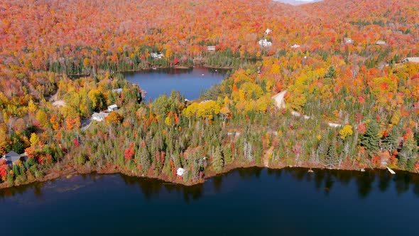 Aerial view of fall season foliage colors and lake houses.