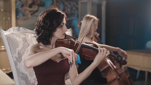 A beautiful girl plays the violin. Duet. The orchestra. Violin and cello.