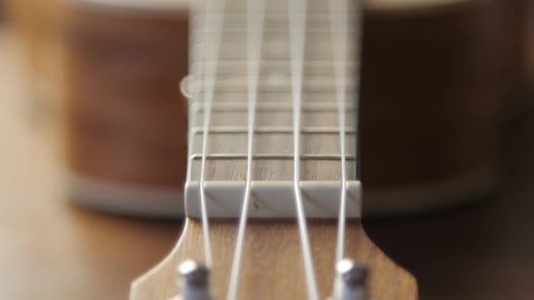 Ukulele Neck Fingerboard and Strings Closeup Shot