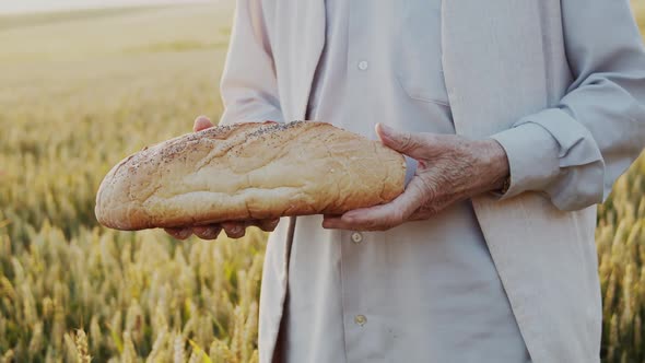 Close View of Farmer's Hands Presents a Loaf of Bread at Camera in Wheat Field alt