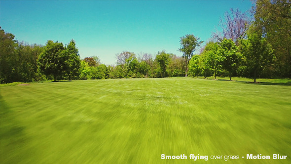 Smooth Flying Over Green Grass and Forest alt