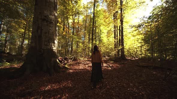 The View of Girl's Back Walking Along the Majestic Ancient Trees and Turning Around Herself in the