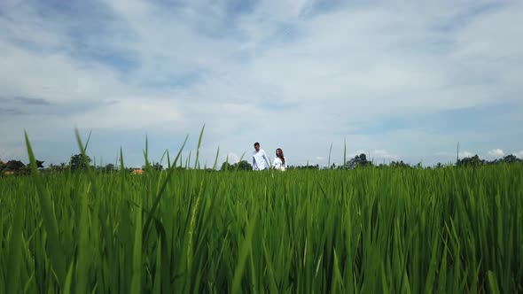 Man leads pregnant wife in rice fields Bali Indonesia Romantic love story on  nature rural landscape