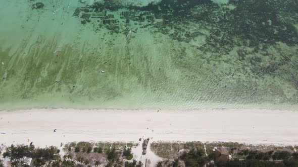 Boats in the Ocean Near the Coast of Zanzibar Tanzania alt