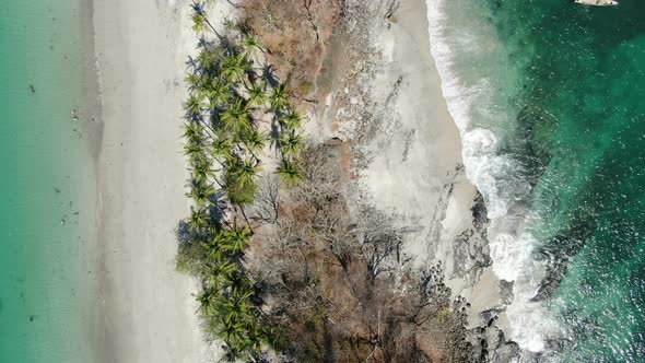 Virgin Unspoiled Caribbean Tropical White Sandy Beach
