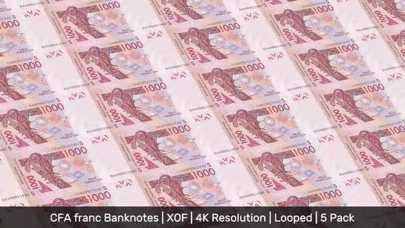 West African States Banknotes Money /  CFA franc / Currency  / XOF/ | 5 Pack | - 4K alt