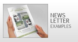 Newsletter Examples