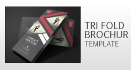 Tri Fold Brochure