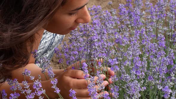 Beautiful woman on a bright sunny day sniffs the aroma of lavender. Lavender field alt