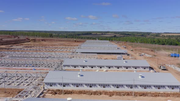 From a Birds Eye View on the Pig Farm the Production Facilities of the Livestock Breeding Complex alt