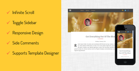 Togglr - Clean - ThemeForest 6658508