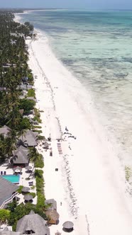 Tanzania  Vertical Video of Low Tide in the Ocean Near the Coast of Zanzibar Slow Motion alt