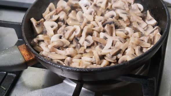 Mushrooms Are Fried in a Pan in the Home Kitchen Cooking Mushrooms Julienne alt