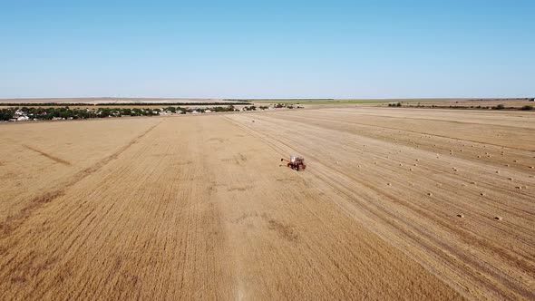 Combine Harvester Collects Wheat Grain in the Field Shooting From a Bird's Eye View